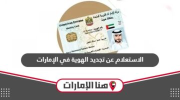 الاستعلام عن تجديد الهوية في الإمارات