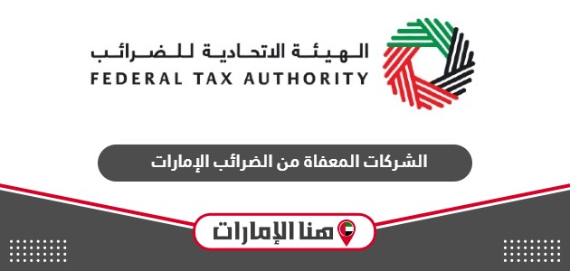الشركات المعفاة من الضرائب في الإمارات وشروط إعفائها 2024